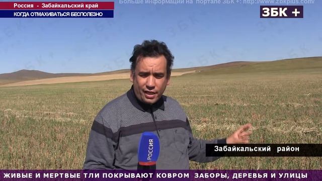 12+ ТУЧИ ВЯЗОВО - ЗЛАКОВОЙ ТЛИ ДОСАЖДАЮТ ЖИТЕЛЯМ ЮГО - ВОСТОЧНЫХ РАЙОНОВ ЗАБАЙКАЛЬСКОГО смотреть онлайн