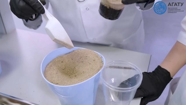 Фитнес и Тренировки