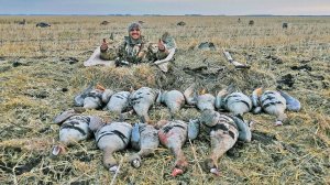 Лучшая охота на гуся в моей жизни | Весна 2022