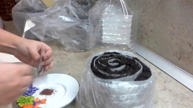 Рассада Земляники в парник из бутылки смотреть онлайн