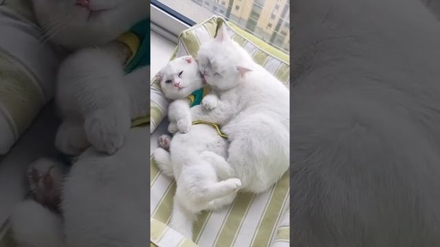 ХОРОШЕГО ВАМ ДНЯ.. смотреть онлайн