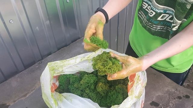 Стабилизированный мох. Часть 2 смотреть онлайн