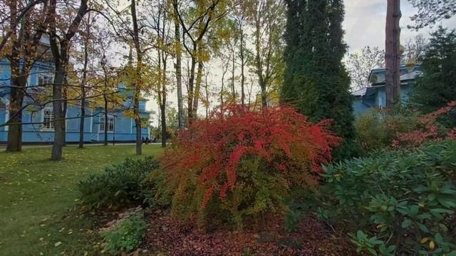 Храм ? Димитрия Солунского Санкт-Петербург смотреть онлайн