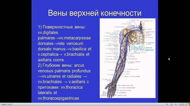 9:50 - 11:30 смотреть онлайн