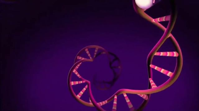 Animaniacs Russian 2020 Bootleg Озорные анимашки