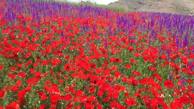 Уникальный Азербайджан.(1) смотреть онлайн
