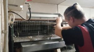 Перепела. Пород много, толку мало. Селадон, тенеброз, фея или феникс?