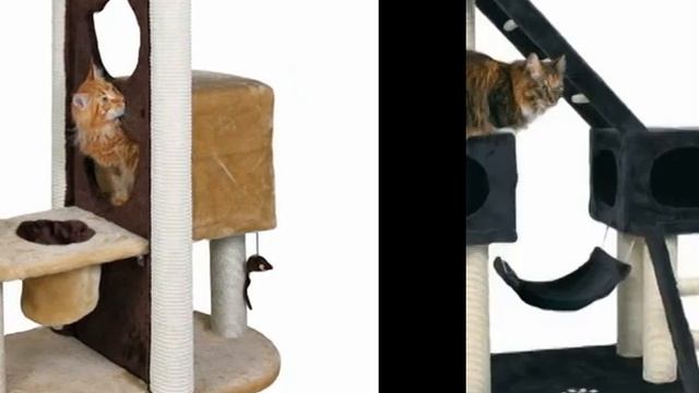 домики и когтеточки для кошек смотреть онлайн