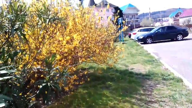 Весенние бабочки. смотреть онлайн