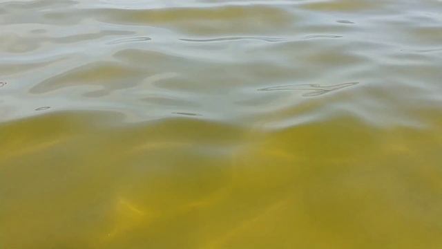 БАЛТИЙСКОЕ МОРЕ В АВГУСТЕ 2022#Латвия#море#теплоебалтийскоеморе#Юрмала смотреть онлайн