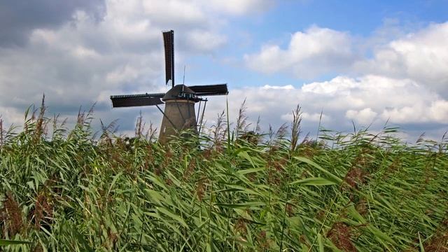 ? ПОМНИТЕ её? Как живет Кристина ЕВТУШЕНКО, которая в 18 лет УСЫНОВИЛА пятерых братьев и сестру? смотреть онлайн