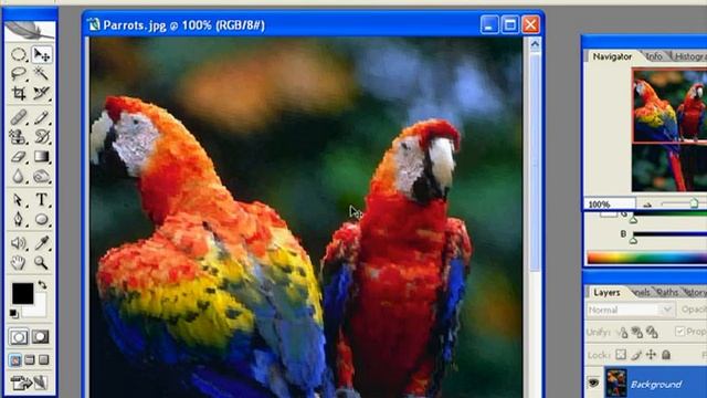 Adobe Photoshop 11 смотреть онлайн