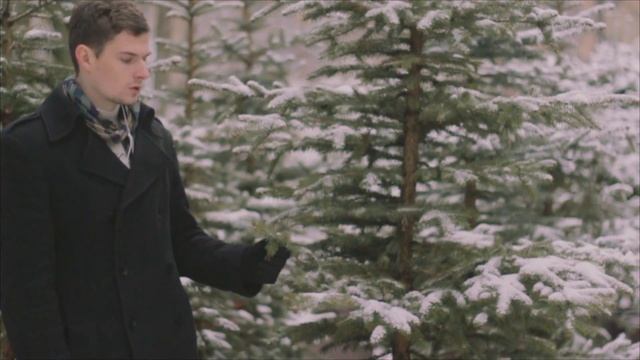 Купить живые елки в горшках, кадках в Минске | Kupit-elku.by