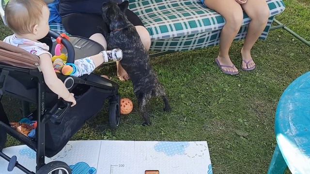 Если нужно помочь покормить ребёнка, Луиза тут как тут и готова помочь. смотреть онлайн