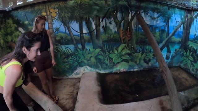 We Are The FIRST Non-Jamaican Citizens To HUNT In The Mountains Of Jamaica￼ *VLOG*