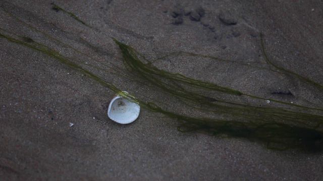 Река Батова - Балтата смотреть онлайн