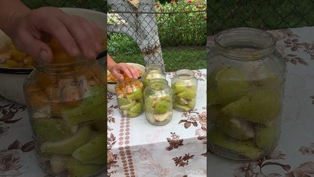 Компот із груш? на зиму з аличею. смотреть онлайн