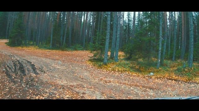 VANLIFE Outdoor . АВТОПУТЕШЕСТВИЕ НА БУСЕ ПО КАРЕЛИИ. ДИКИЙ КЕМПИНГ В КАРЕЛИИ.  Ванлайф Карелия. Ч6