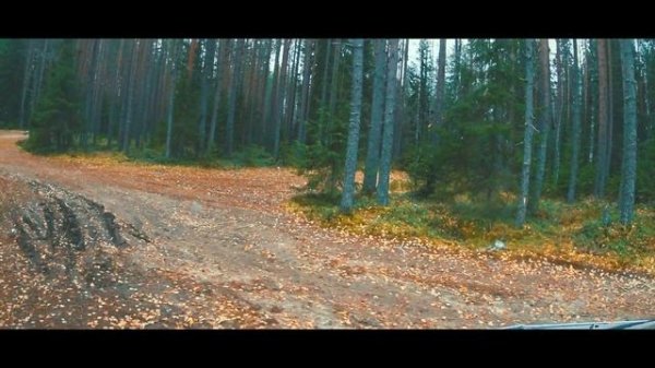 VANLIFE outdoor . АВТОПУТЕШЕСТВИЕ НА БУСЕ ПО КАРЕЛИИ. ДИКИЙ КЕМПИНГ В КАРЕЛИИ.  Ванлайф Карелия. Ч6