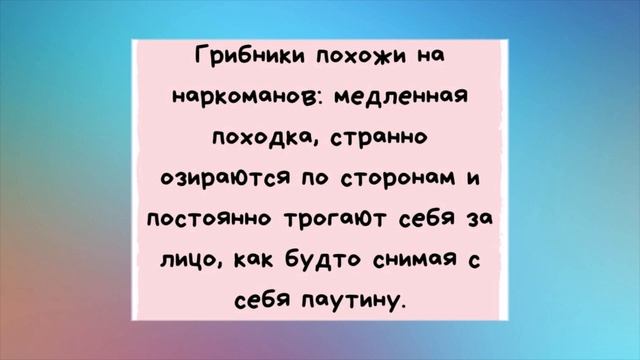 Жизнь без МАТА - как БОРЩ без томата. Юмор на каждый день.