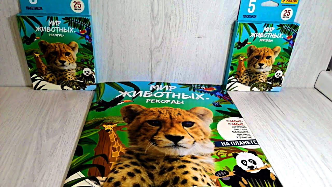 Panini Мир Животных. Рекорды - 2 блистера смотреть онлайн