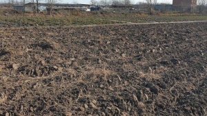 Схема посадки малины. Подготовка почвы под малину.