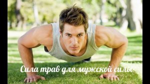 Народное средство для усиления потенции - сбор «Травы Кавказа» № 25