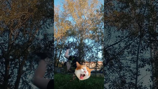 ХРУСТЯШЕК 🥬