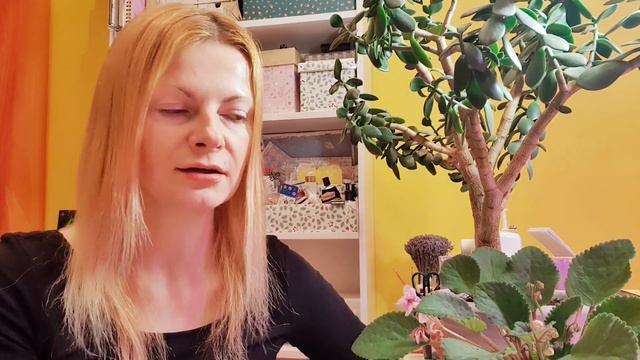 Растения удачи в астрологии смотреть онлайн