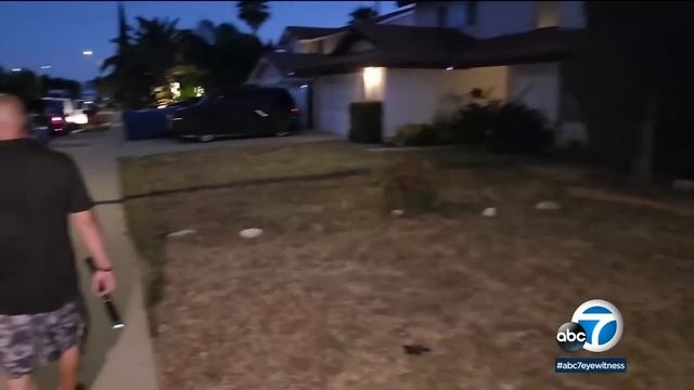 15-foot python escapes from owner in Chatsworth смотреть онлайн