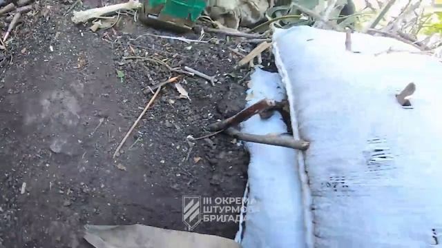 Ukrainian Trenches, November, 2023