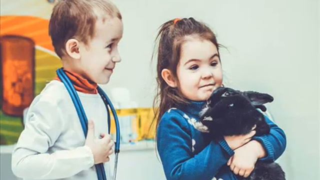 Стажеры ветеринара