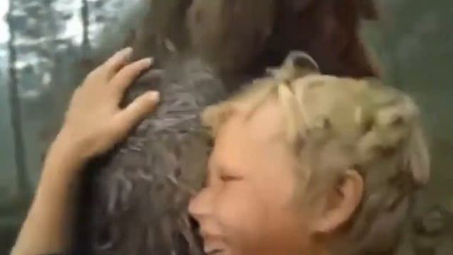 Экологические сказки.mp4 смотреть онлайн