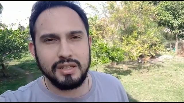 SALMOS, lectura perpetua / Неусыпаемая Псалтирь смотреть онлайн