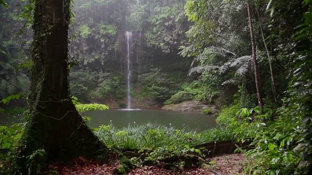 Звуки природы, Водопад, Восстановление сил/Sounds Of Nature, Waterfall, Relax 1 Hours
