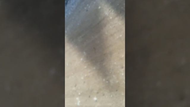 реальная жизнь (я не меняю свой формат видео просто будут такие видео выпускать время от времени смотреть онлайн