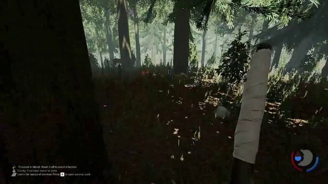 The Forest 0.28 ☢ Обзор ☢ Новые плюшки в обновлении! ☢ #27 смотреть онлайн