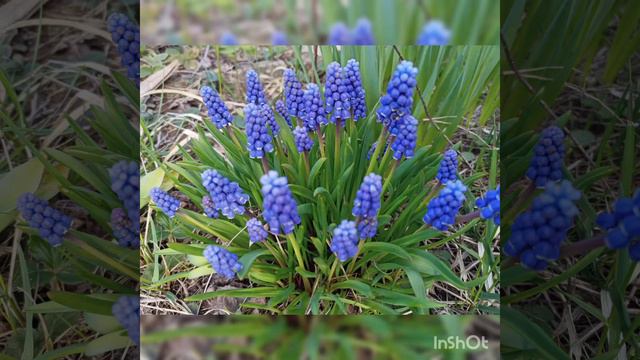 Первый день весны смотреть онлайн