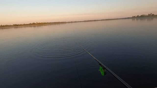 ДИКИЙ ОКУНЬ НА ПОПЛАВОК СУМА СХОДИТ)! ПЕРВАЯ РЫБАЛКА НА ДАЛЬНЕМ ОЗЕРЕ, ОКУНЁВЫЙ РАЙ)! смотреть онлайн