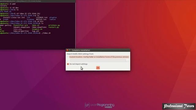 007 Install and Configure IntelliJ FREE and PAID version for Ubuntu Linux смотреть онлайн