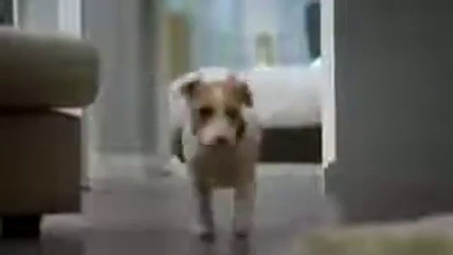 Один дома (породия) смотреть онлайн