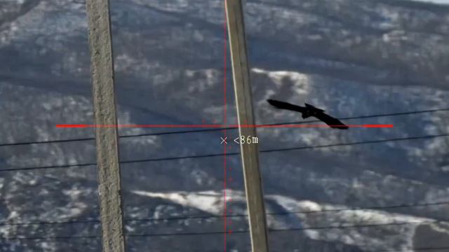 PARD DS35LRF,EDgun Leshiy 2.0,Crow Hunting,Кроухантинг, Леший 2 отстрел Карлуш #1 смотреть онлайн
