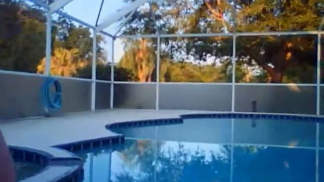 doberman doing doberman stuff смотреть онлайн