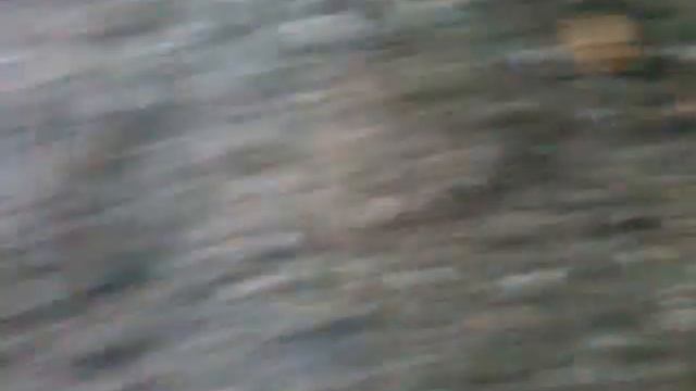 Schwarze Soldatenfliege Komposter 4 BSF Bin Soldierfly Harvester Bin Prototype смотреть онлайн