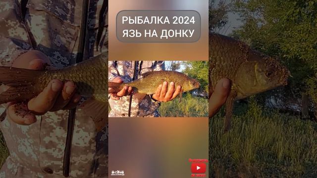 Рыбалка 2024 Рыбалка на донку ловля язя смотреть онлайн