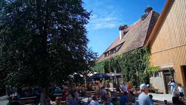 Путешествие Берлин-Швейцария Гора обезьян Affenberg смотреть онлайн