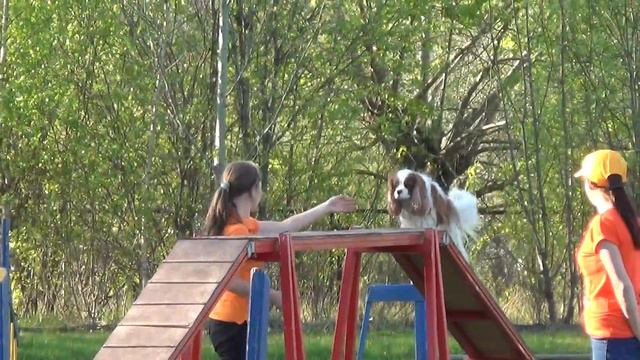 Команды. Клюева Валерия и ккчс Тильман