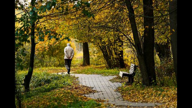 ЖИЛ В НАШЕМ ГОРОДЕ ПОЭТ (Владимир Захаров & Олег Сурош) смотреть онлайн