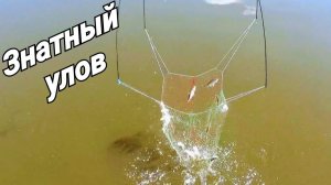 Рыбалка на паук! Ведро плотвы за час рыбалки! Легендарный мост вновь радует!