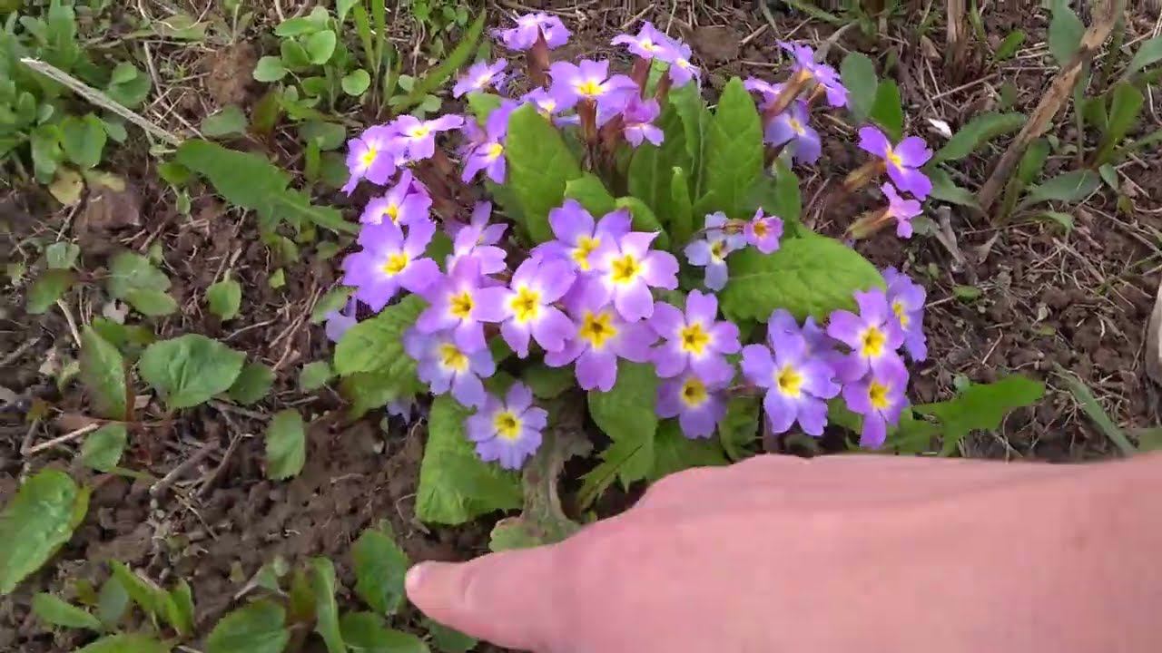 205. Начало сезона смотреть онлайн